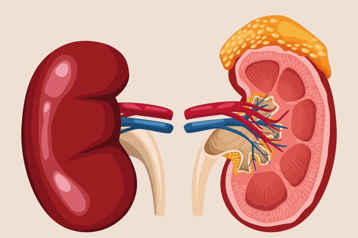 Nephrology
